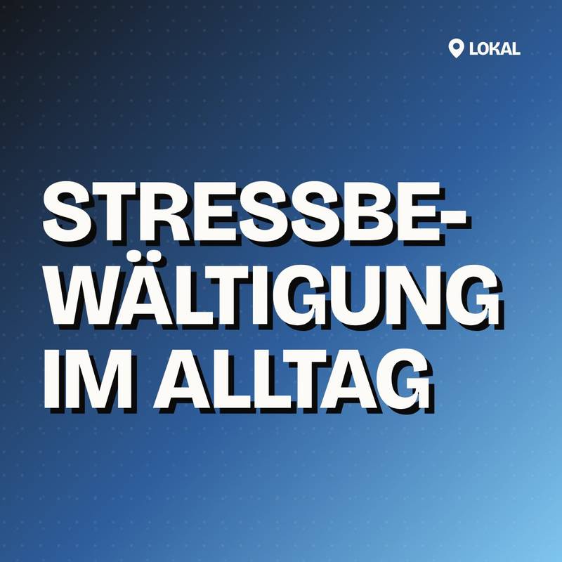 Cover: Stressbewältigung im Alltag